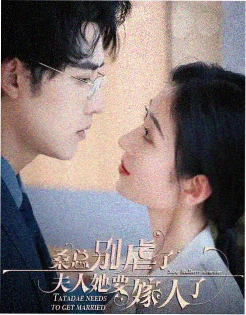 回声档案剧集封面
